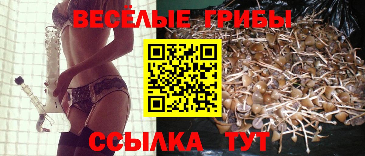 Псилоцибиновые грибы мухоморы Конаково