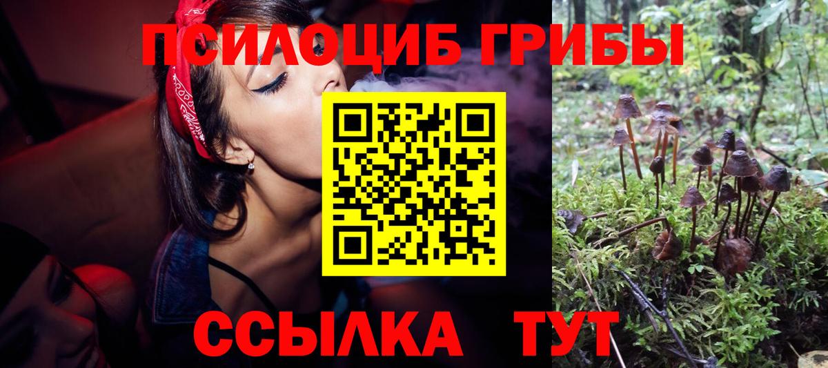 Конаково  Псилоцибиновые грибы Magic Shrooms  Вход с VPN 